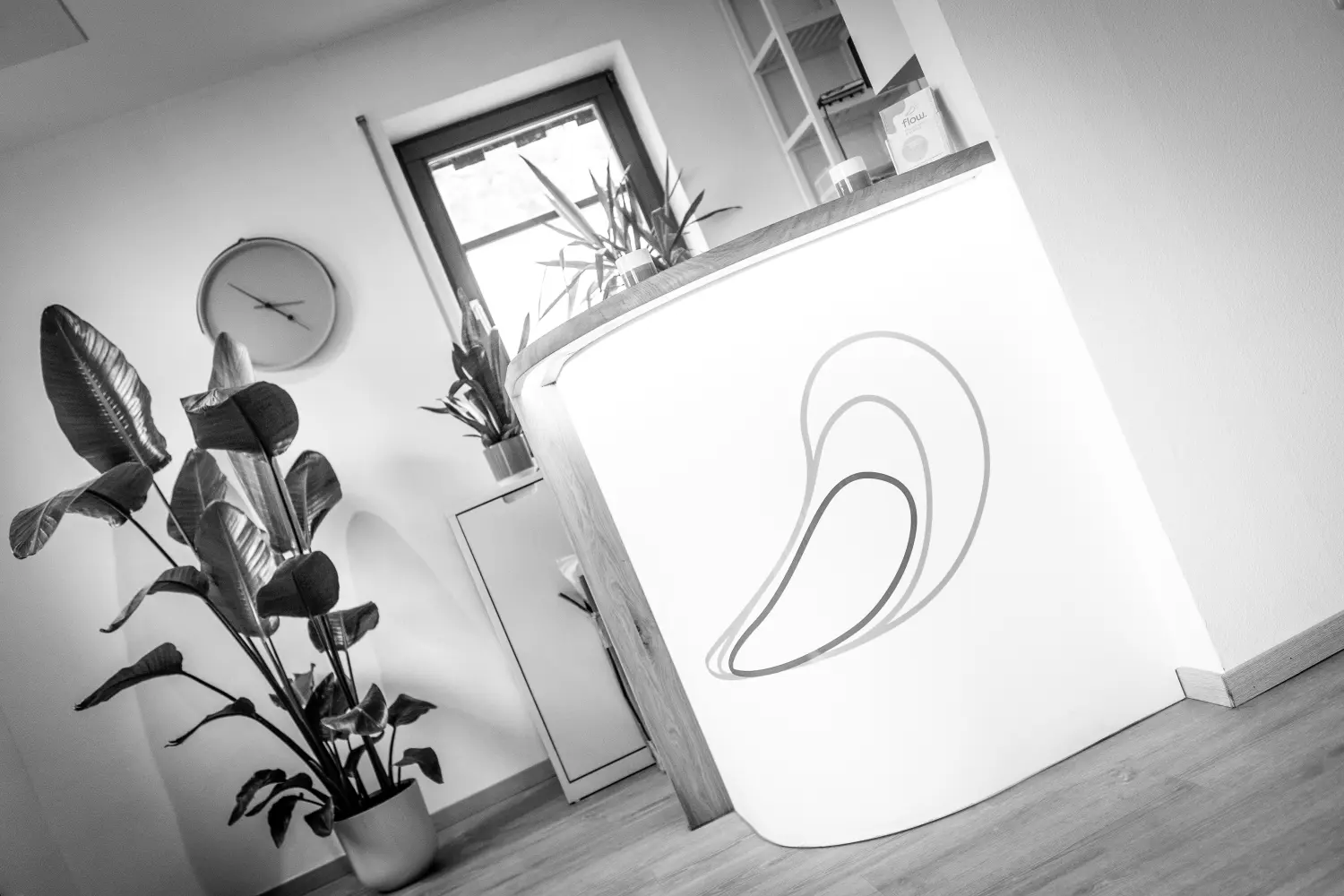 flow. Physiotherapie und Training – Rezeption